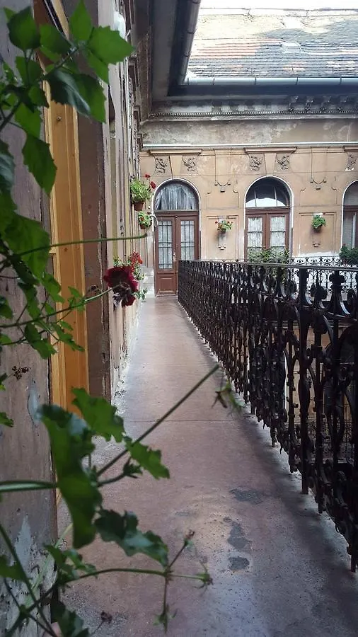 Say Yes Hostel Budapeszt